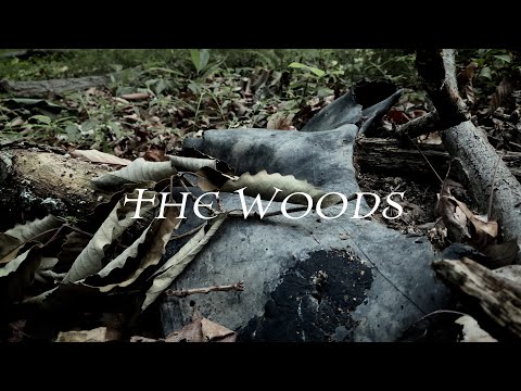 The Woods |