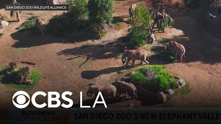 Play video: San Diego Zoo Safari Park's Denny Sanford Elephant Valley allows guests to walk aside one of nature'