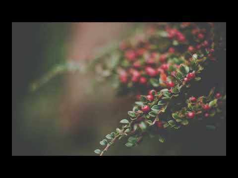 طاب الجنا ودنت لنا الاثمارو 