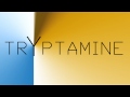 Tryptamine - Stars and Chords
