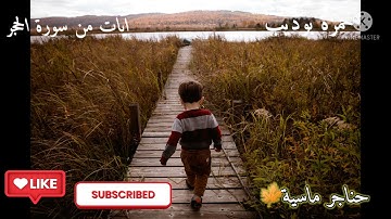 {أدخلوها بسلام آمنين }🍂تلاوة رائعة وخاشعة🍁