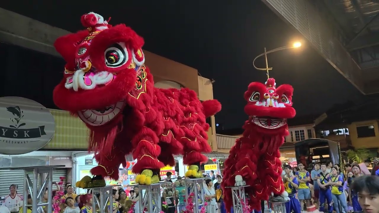CNY2026 Acrobatic Lion Dance by CHSAA 雪州公中校友會 高桩舞獅 @ Section 17 Petaling Jaya 0228