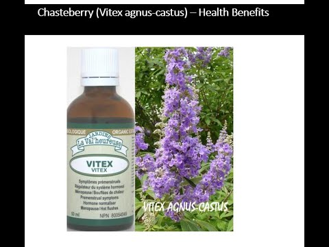 Chasteberry - Vitex agnus castus - Hormonal & Dopamine Benefits