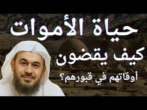 حياة الأموات، كيف يقضون أوقاتهم في قبورهم؟ وكيف يشعرون بالأخرين؟ | الشيخ عبدالرحمن الباهلي