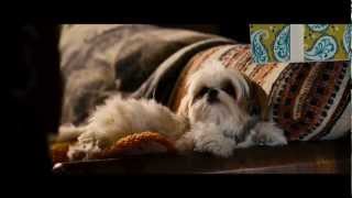 Seven Psychopaths -  Movie Trailer [HD] 2012