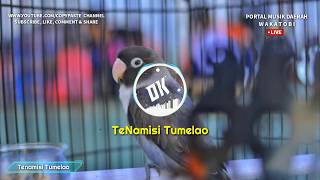 Tenamisi Tumelao || Lagu Wakatobi || Portal Musik Kabanthi Wakatobi