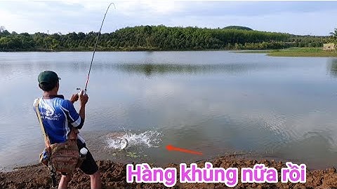 Câu cá lóc_Gần nhà đụng mấy con hàng khủng thật phê @Hữunghị tv