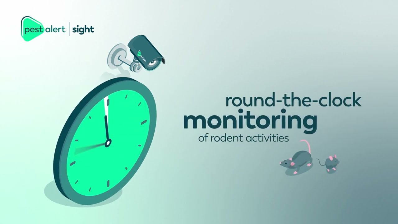 Introducing - Pest Alert Sight, by Vergo