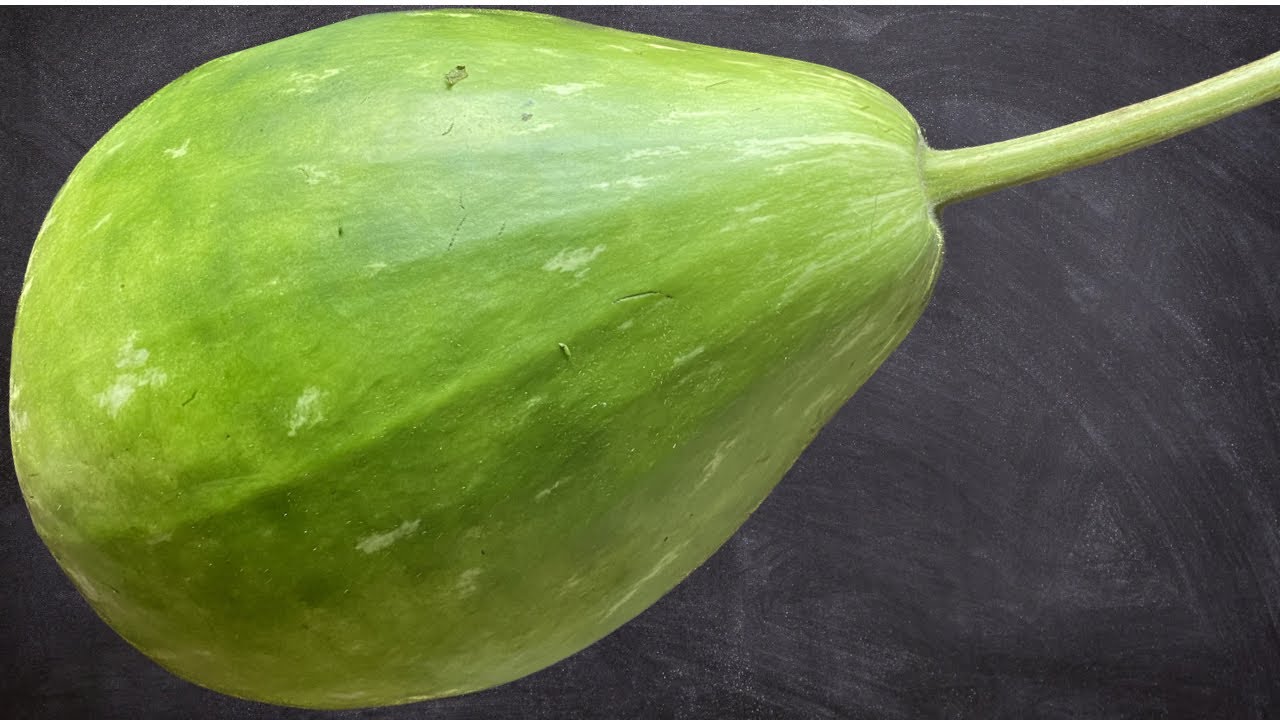 লাউ ছেঁচকি, How to fry bottle gourd. FRIED BOTTLE GOURD. Bengali