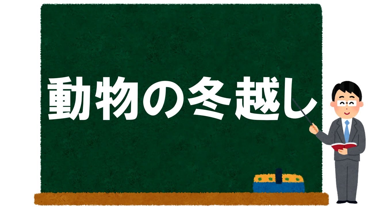 【理科】動物の冬越し～冬眠・状態・渡り鳥など～【受験】