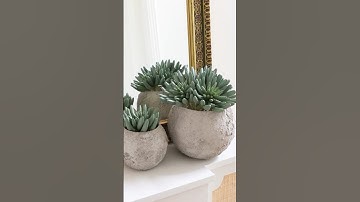 Pottery Barn Planter Dupe! #upcyclingideas