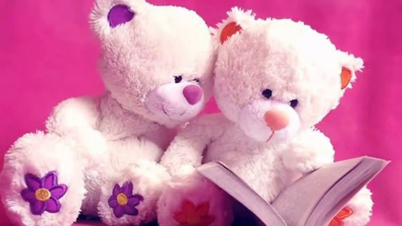 Cute Teddy bear WhatsApp Status |Cute Teddy bear stock photo ...
