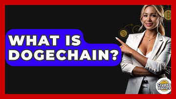 What Is Dogechain? - CryptoBasics360.com