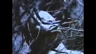 The Guardian (La Tutora) (William Friedkin, EEUU, 1990) - English Trailer