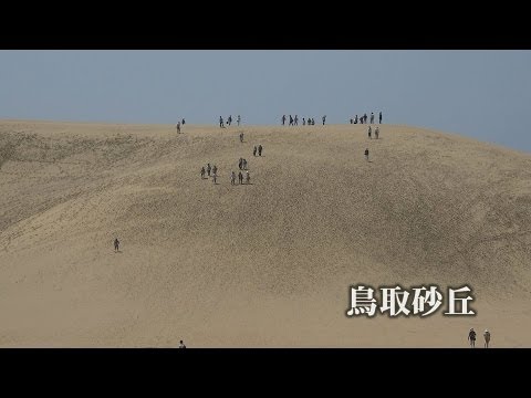 4K 鳥取砂丘