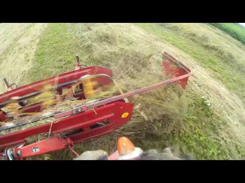 Video: Rake Za Hodni Traktor (22 Fotografije): Karakteristike čeških Okretača. Zašto Ne Sakupljaju Sijeno? Karakteristike Krsta I Remena