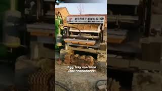 Download Lagu (3) 4*4 2500pcs egg tray per hour sun cure drying machine MP3