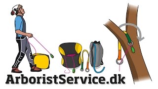 Tree climbing rope installation - Cambium-/Friction Saver - Throwline - Throwbag - DRT - SRT screenshot 5