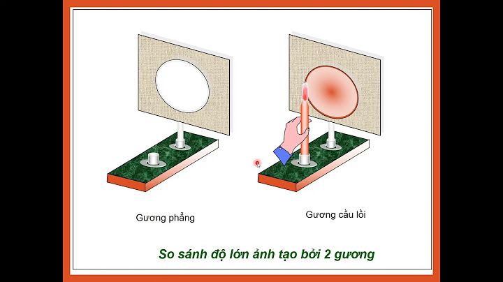 Điểm giống nhau giữa ảnh của một vật tạo bởi gương cầu lồi và gương phẳng có cùng kích thước