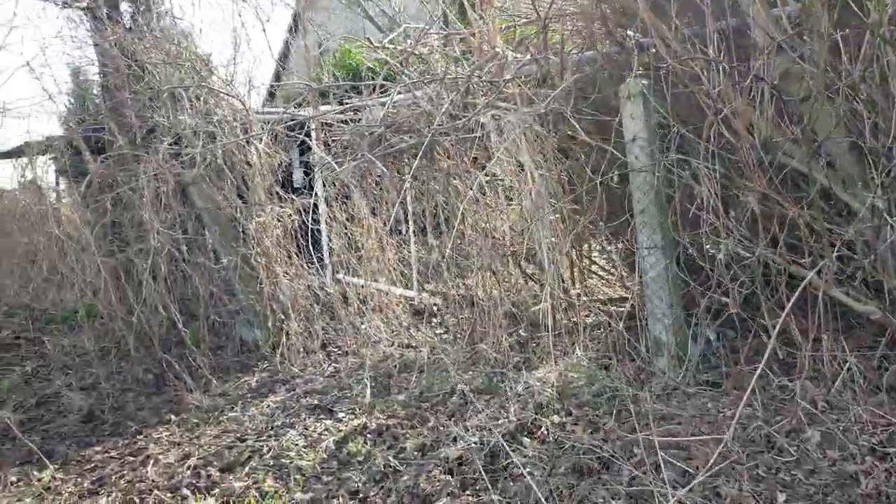 Landschaft Garten 28.02.2026 Kartlow Deutschland 