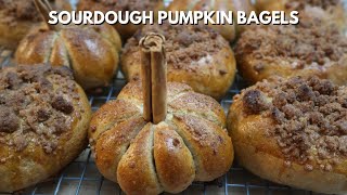 Sourdough Pumpkin Bagels Recipe 🍁🍂