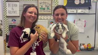 OMMS PBIS Hype Video