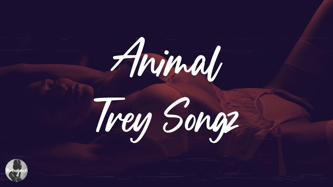 Trey Songz - Animal (Lyrics) - YouTube
