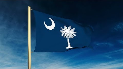 4K south carolina flag slider style. Waving in the win with cloud background animation Stock video