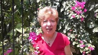 Bir Kofer Bir Sandık 2014