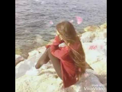 الدنيا بل مقلوب