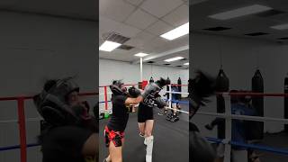 Life of a fight coach…