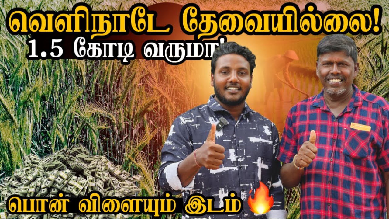 வெளிநாடே தேவையில்லை! 🔥😍 | 1.5 கோடி வருமா! 😱 பொன் விளையும் இடம்! | Murasumoddai | Pavaneesan