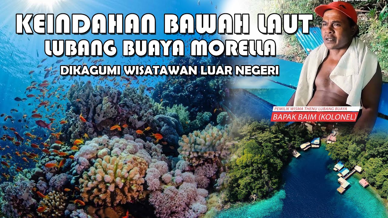 LUBANG BUAYA MORELLA PUNYA SPOT BAWAH LAUT KEREN SEKALI