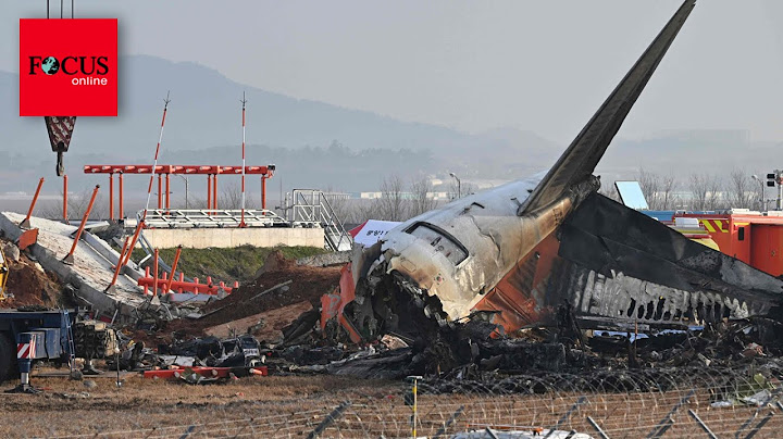 Ein Detail beim Südkorea-Crash lässt sogar Luftfahrtexperten ratlos zurück