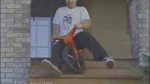 The Best Of Jackass Season 1