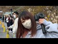 萌え豚最強祭in奥伊吹Drift!