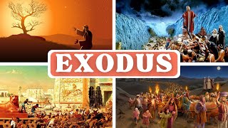 Exodus | Best Dramatized Audio Bible For Meditation | Niv | Listen & Read-Along Bible Series