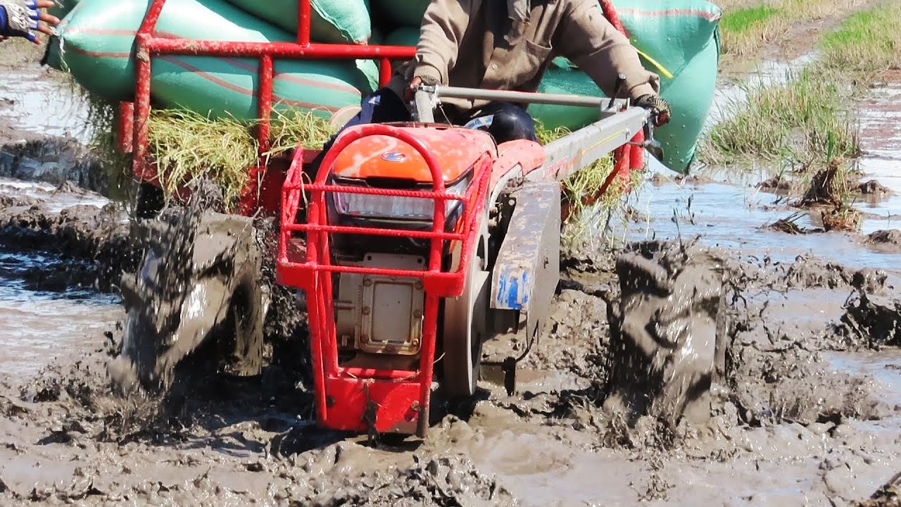 The best driving tractor in mud គោយន្តគូបូតាពិតជាខ្លាំងអស្ចារ្យមែន
