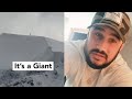 Andrew dawson giant  real or fake