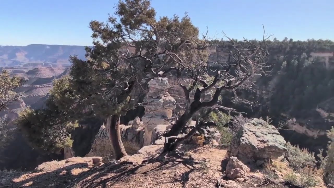 Hiking Along the Edge of the South Rim has  Unexpected Views!