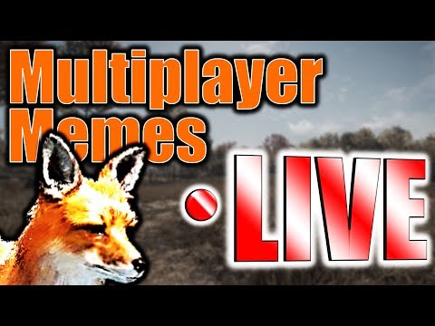 multiplayer-memes-on-hirschfelden!-live