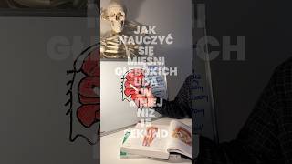 Jak nauczyć się mięśni głębokich uda? #anatomia #fizjo #medstudent