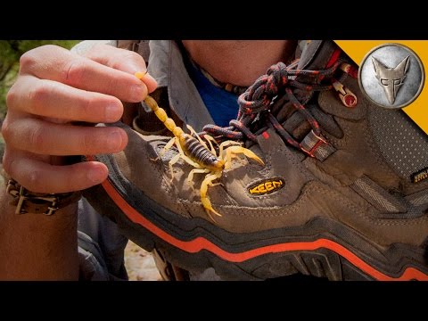 coyote peterson shoes