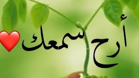أرح سمعك / القرآن الكريم / بصوت احمد العجمي / حالات واتس اب دينيه/