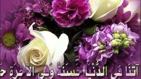 ROQIA ROKIA  عبد الباسط عبد الصمد الرقيه الشرعيه ايات النور و ايات شرح الصدر لعلاج الامراض النفسيه