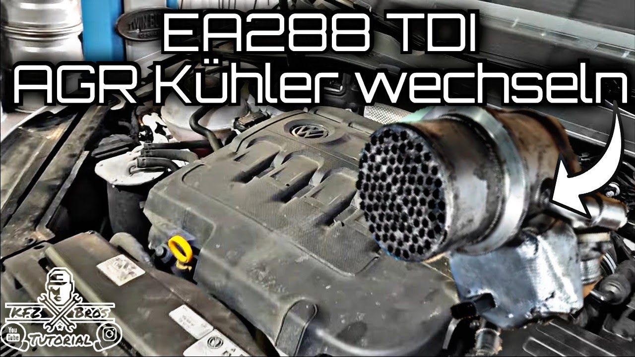 VW/Skoda/Audi/Seat 1.9 TDI AGR Ventil wechseln (P0401) II Replace