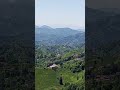 #köydeyaşam #karadeniz #rize #yayla