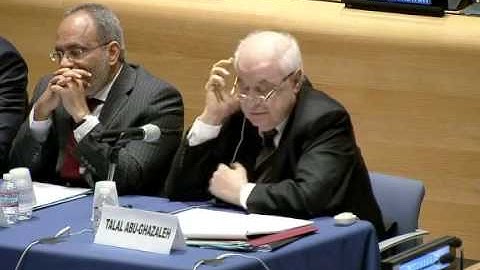 The Ministerial integration panel of the United Nations ECOSOC 1/2