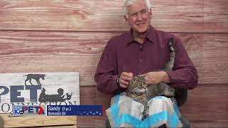 Pet Connection Sandy 6-18-25