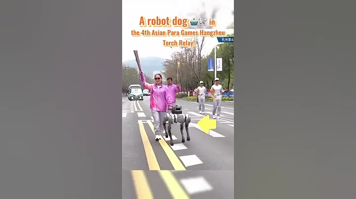 How a robot seeing-eye dog helped torchbearer Cai Qionghui complete her part - DayDayNews